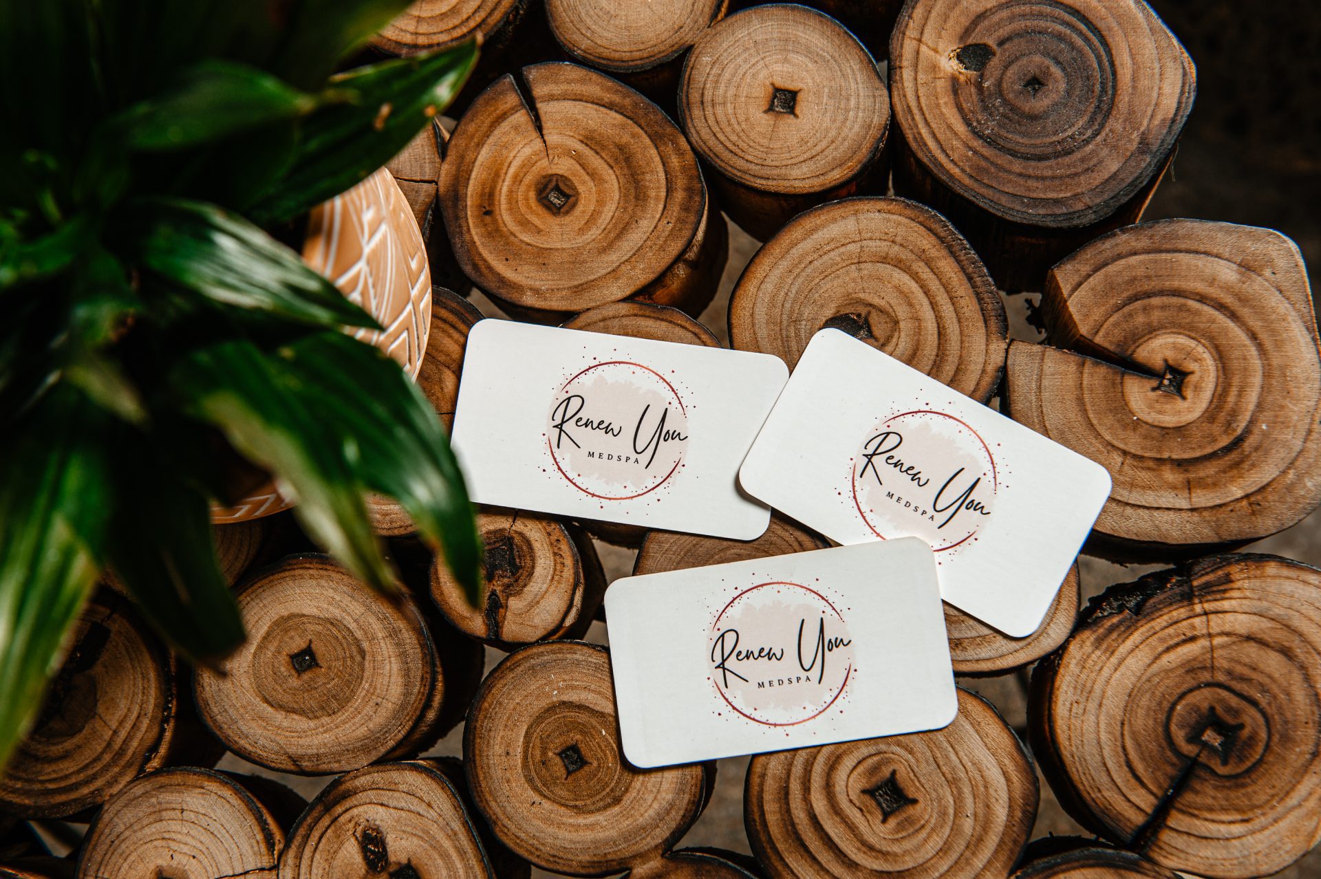 1772149672_IMG_0288-scaled-1 IMG 0288 scaled